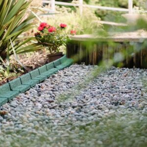 Flexiborder - Salbei